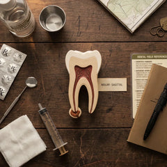 The Dental Abscess Trap: Why Antibiotics Alone Don't Cure the Tooth | MED-TAC International