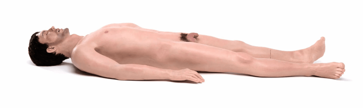 SIMBODIES EMS Man Emergency Medical Skills - Male Manikin - Safeguard Medical