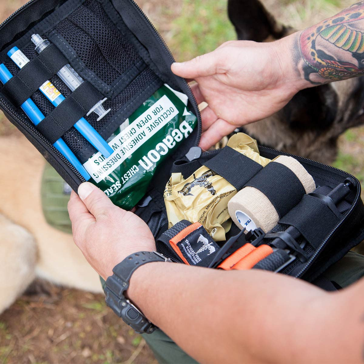 K9 / Working Dog