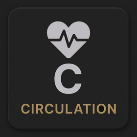 C - Circulation