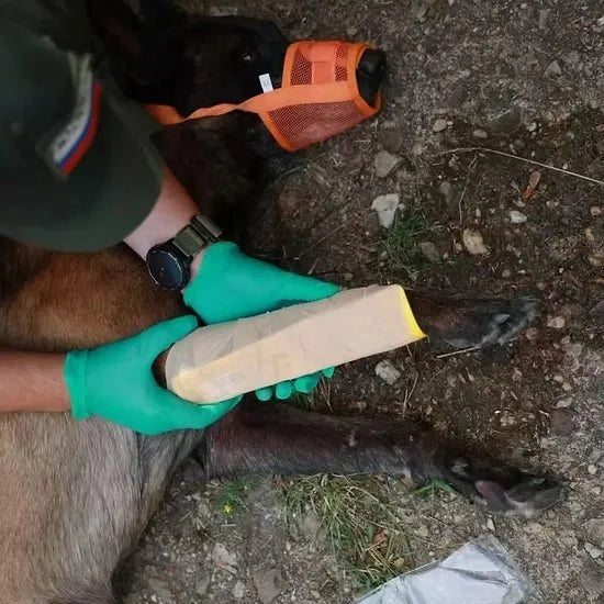 K - 9 Splint - MED - TAC International Corp.