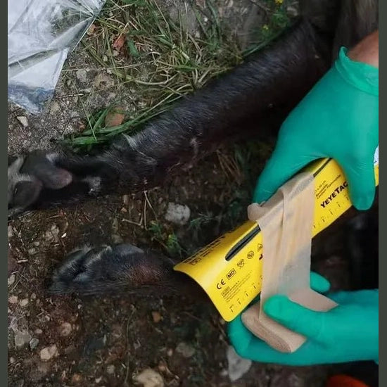 K - 9 Splint - MED - TAC International Corp.
