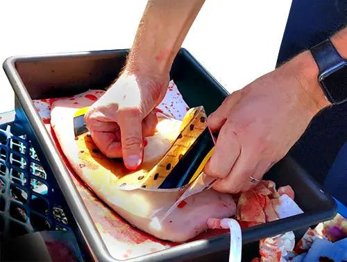 TrueClot® Chest Seal Application Training System - Trueclot