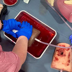 LACERATION Wound Packing Task Trainer - Trueclot
